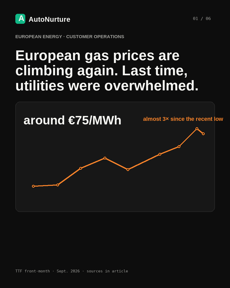 Six-page AutoNurture briefing on European gas prices and utility customer service